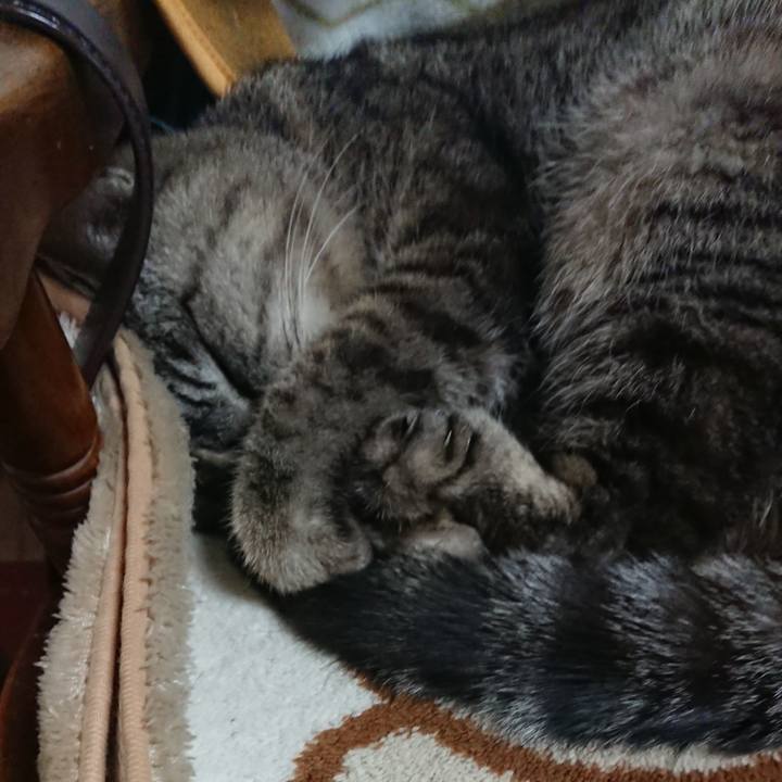 95c410fe b6ab 42f2 9eec c30ec14cdfc7 1552175846633