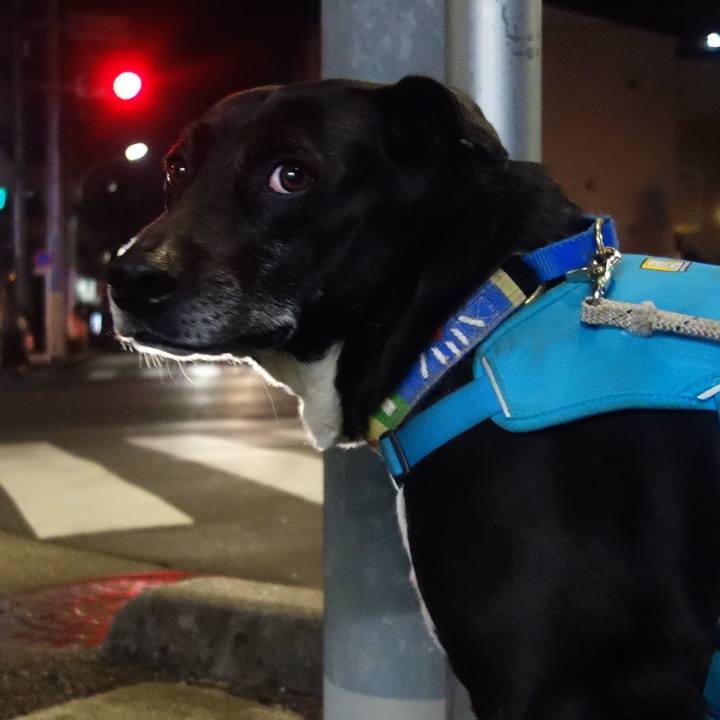 95c41faa c626 476d a29e 0dc459cb4aba 1681816036347