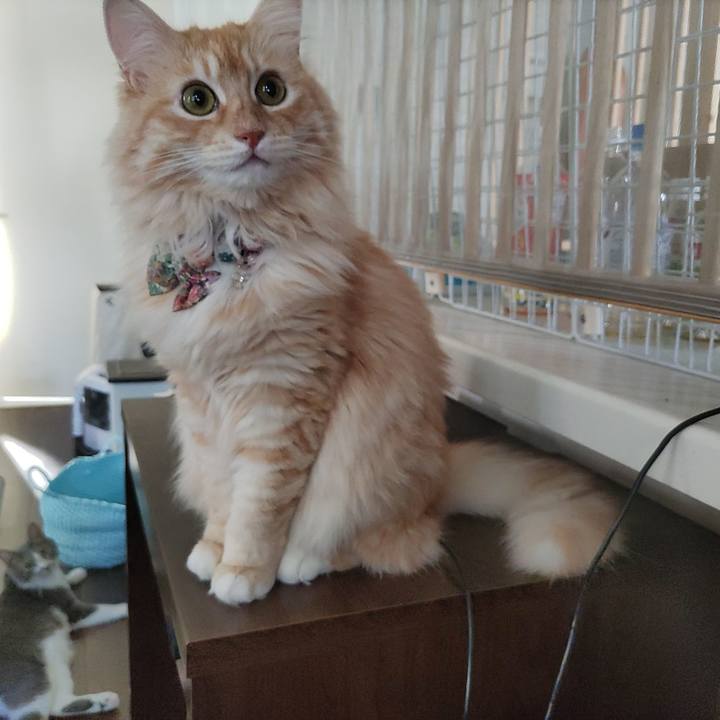 95c43384 2537 4458 b725 2a6b9e9b1e19 1659345020044