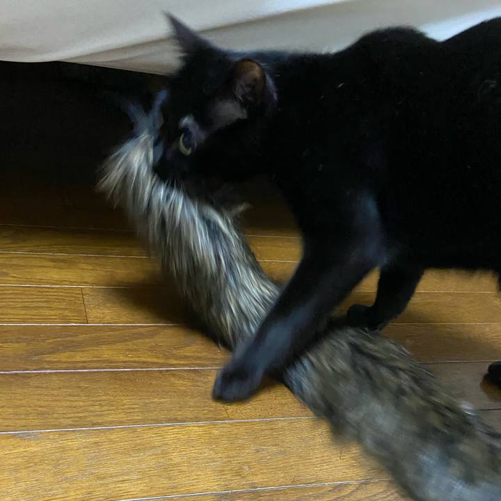 95c43c0b 49f4 40d7 8a25 f44e5c4364d6 1682170811588