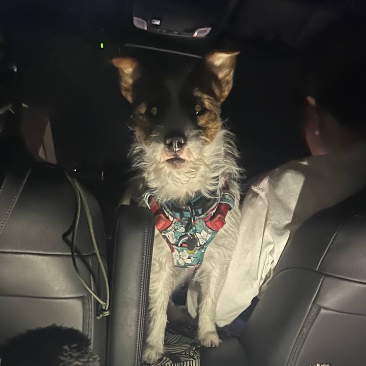 95c44123 8b04 4a44 beed fb03efd706b6 1762160843728