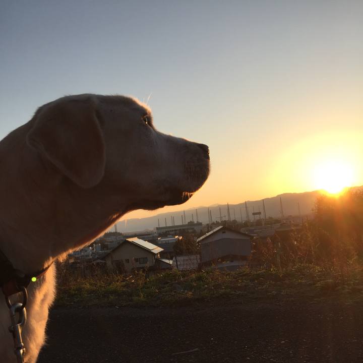 95c454a7 5e93 4c36 99c0 fe7ce8b586e6 1554296477039