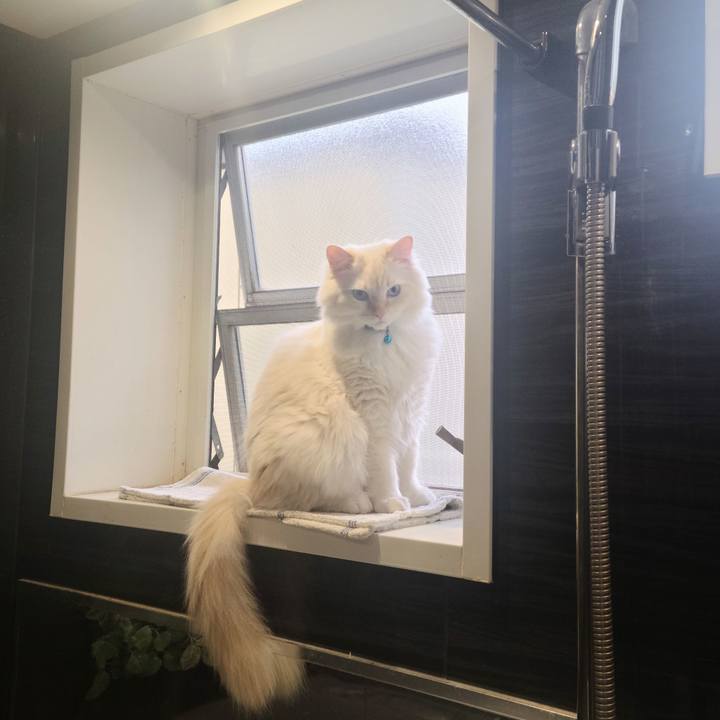 95c45686 b2d4 416d 9d4e 1629a7f1d6a8 1683533315223