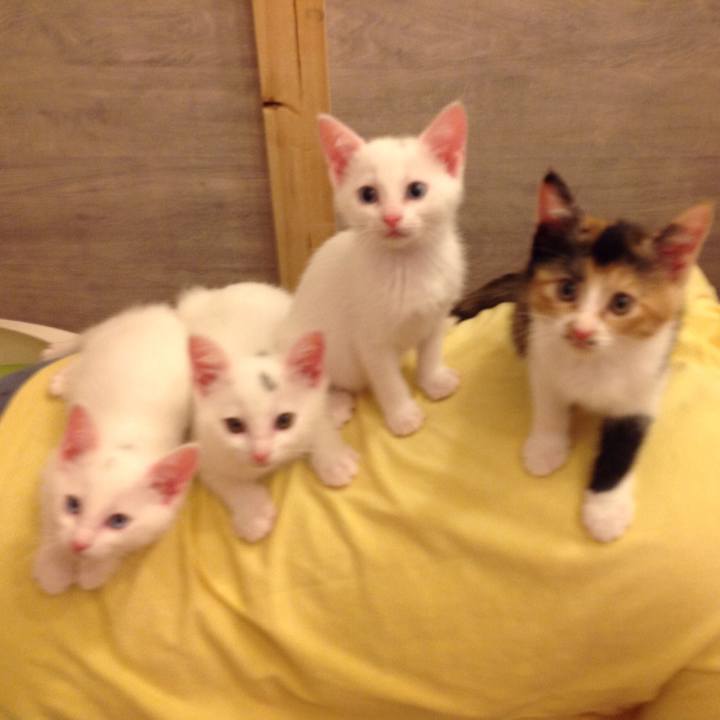 95c4681d 5e5e 415a 8057 3dccc63d6d5c 1514762114815