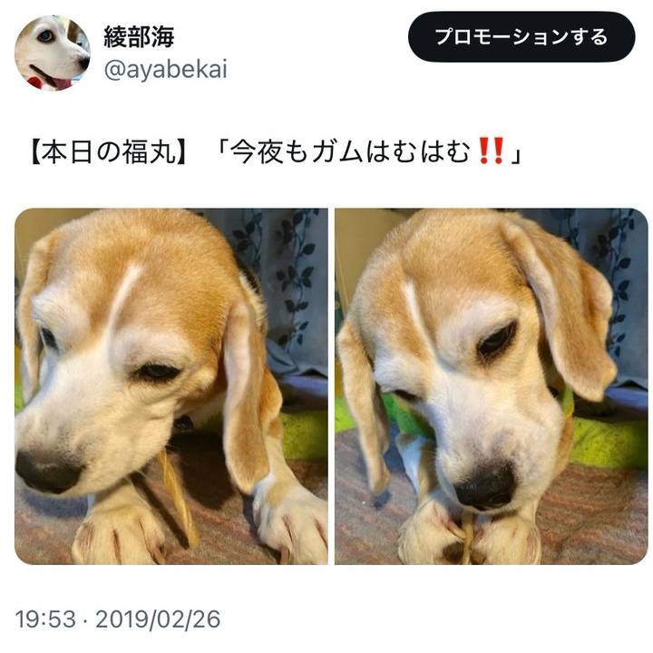 95c4ed93 6b89 4152 83a3 f422d1248b40 1740543466984