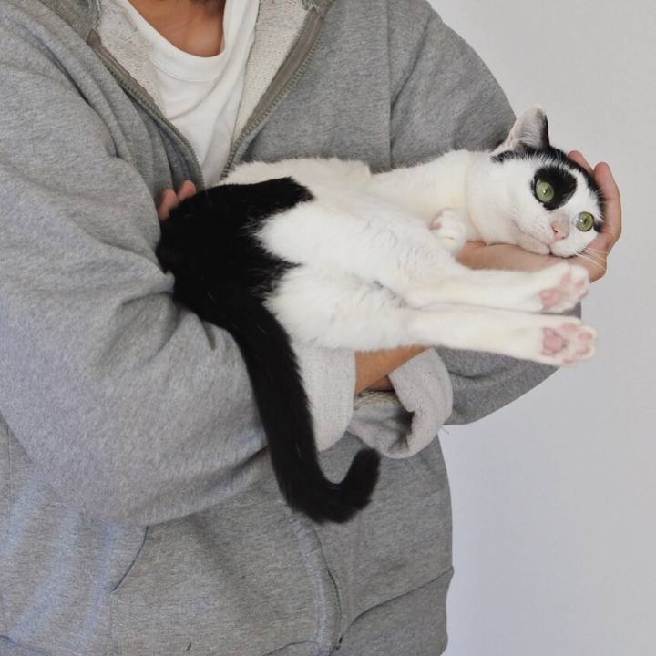 95c51a28 c40a 4409 bea8 3873bd31a256 1580520208703