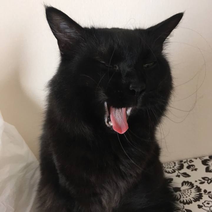 95c52aa6 d1b9 4a4e a3ac b92c6a3429bf 1532601247847