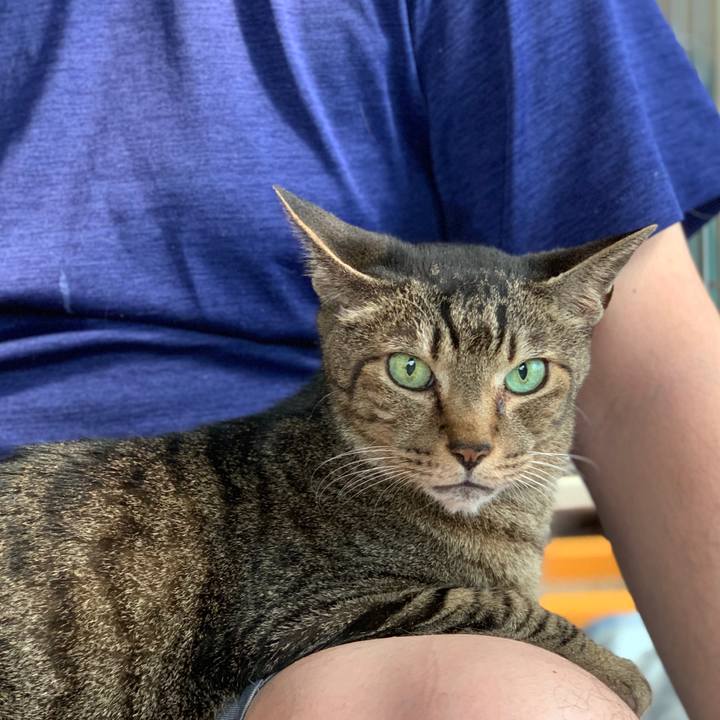 95c55b86 c531 4be4 b1d7 429d0e7c2da2 1564359992727