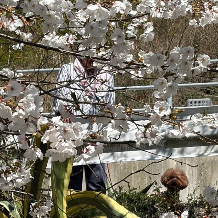 95c58179 f68e 48d9 8e01 382ae11b6477 1774130573593