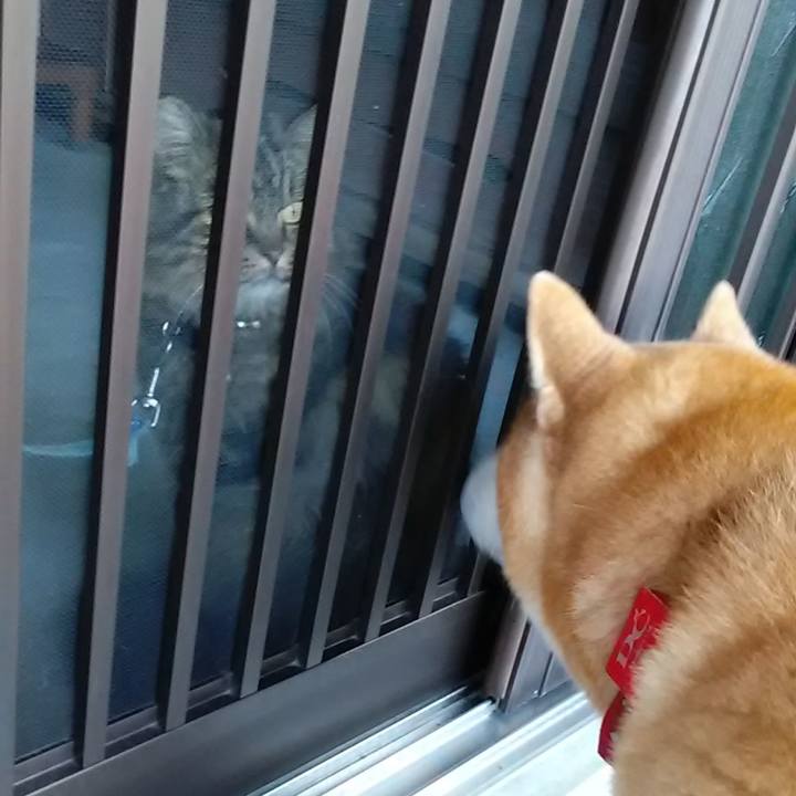 95c59382 5d02 40b1 af7d 24899c3dbf96 1661864417001