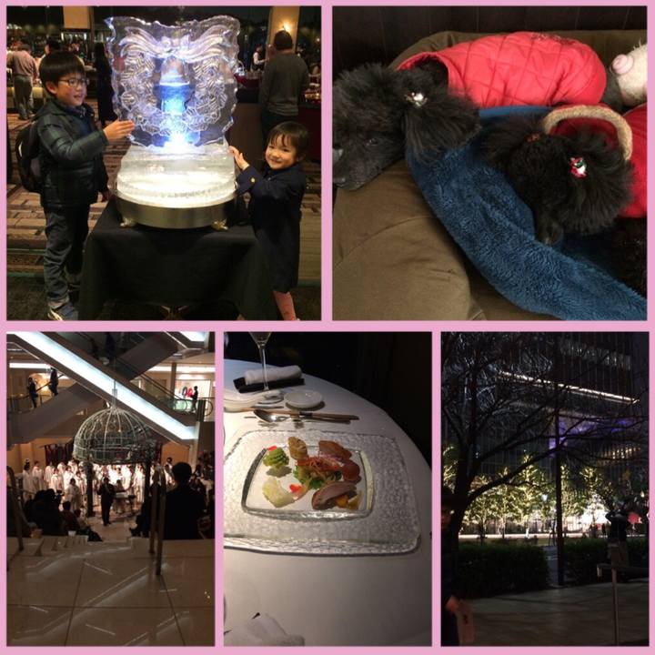 95c59576 b09f 4878 91af 2aa8b985a58a 1545694176860