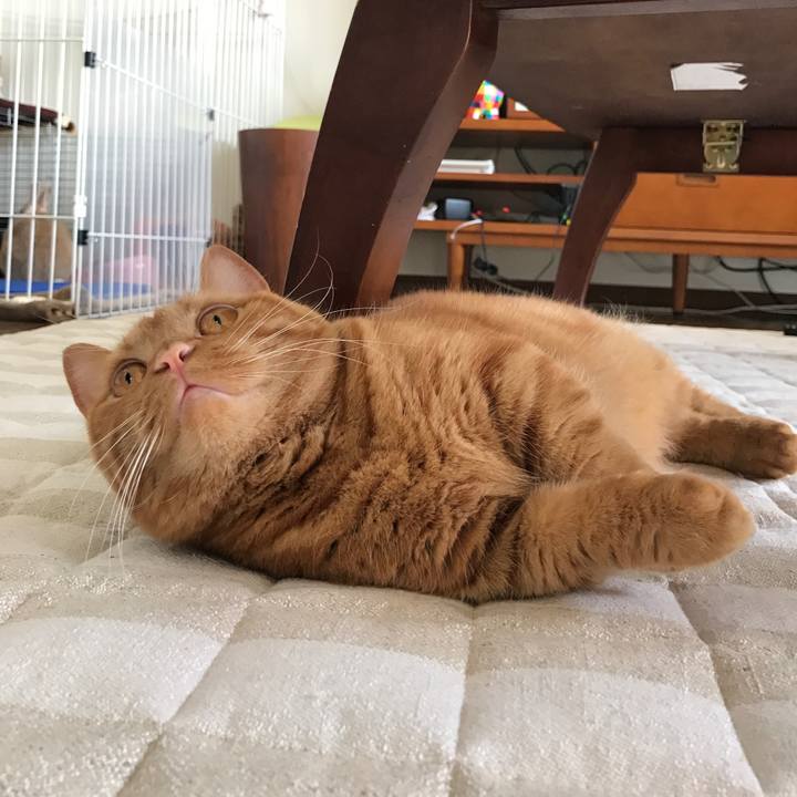 95c5ad14 eecb 4c07 9db1 9a4b9729492d 1524967477311