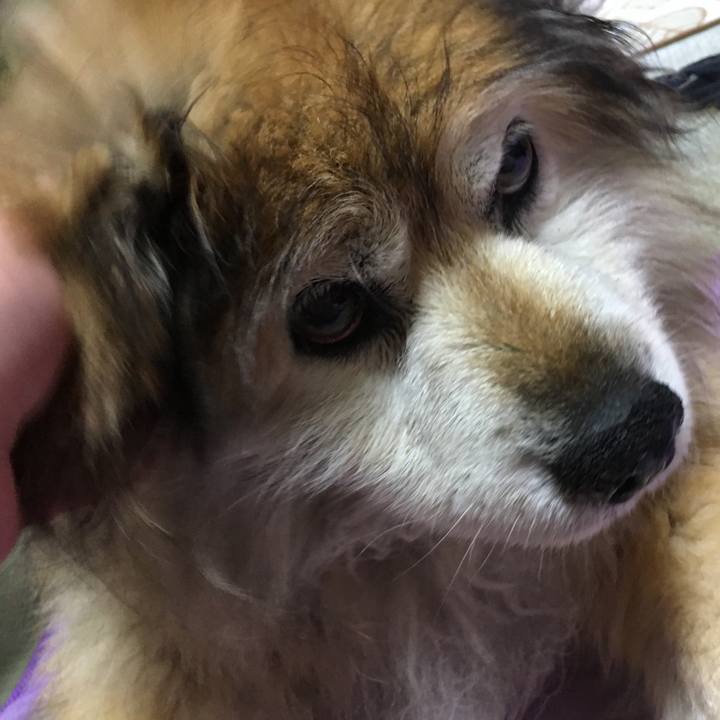 95c5cfe0 661e 422a b1ee 3dc641178cf7 1591322128288