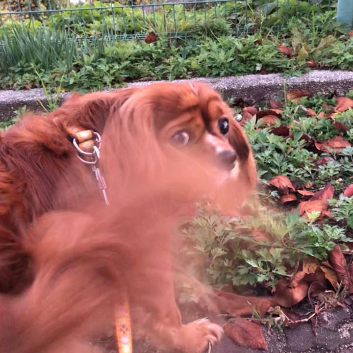 95c5f71a 2de0 4eb7 b423 14aaf03f1c32 1605948517120