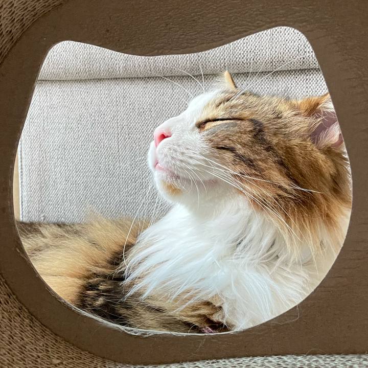 95c6032f 7a03 4df8 ba01 3ae569eeb85c 1655589315334