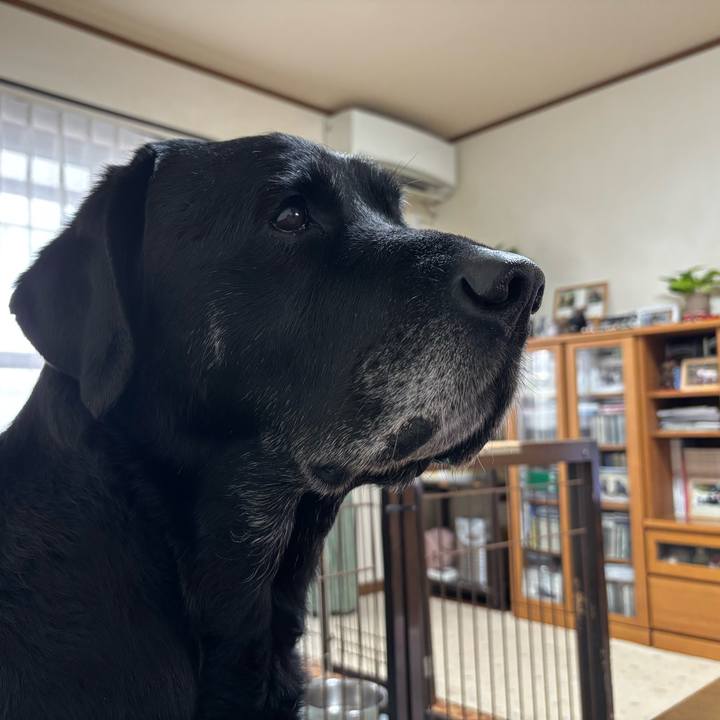 95c64508 77e3 4c1f b6b1 852a30df38aa 1767433629024