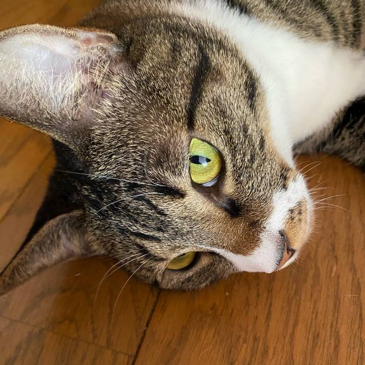 95c66c2f 8956 40e5 ab04 ee296a051c11 1692248041924