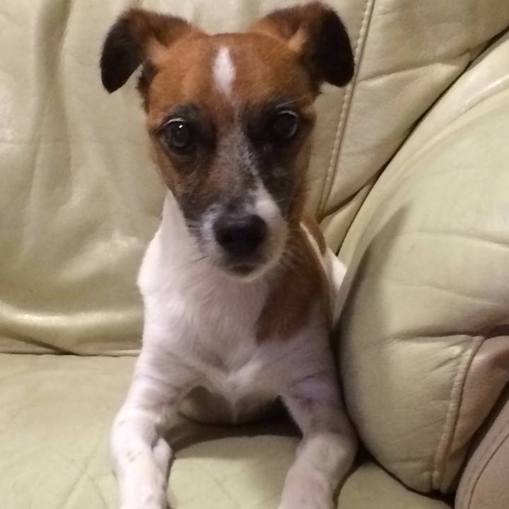 95c691cc 5c73 4d52 8b2a 3a2aea1f985c 1587545513462