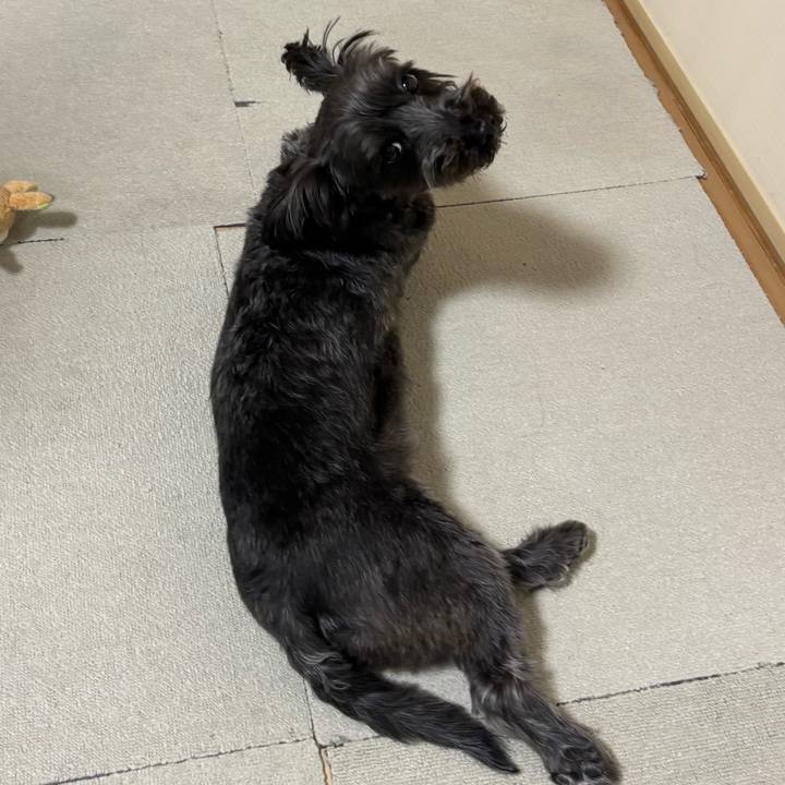 95c6a5df 74e7 4e40 9fa9 1d30df4b9615 1773572837711