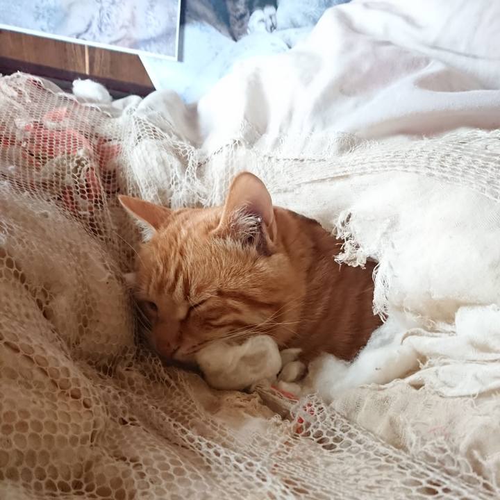 95c6dcb7 f972 45c7 98ad a494a7fe41a0 1648091141047