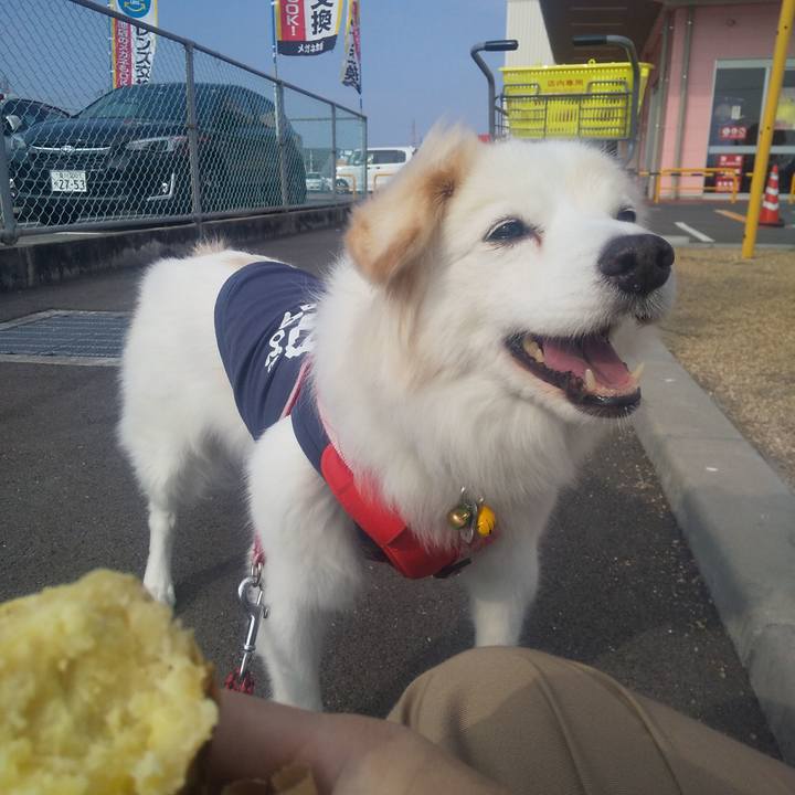 95c6e92b 64af 4dd8 940a 820d6c2dccd6 1639282371690