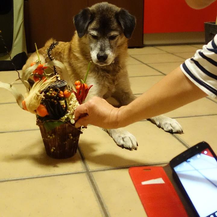 95c72586 8dca 426a a966 11853c537bfd 1570359139326