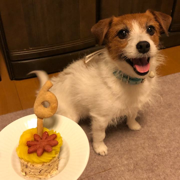 95c734af 1f18 4d0c 9813 c5c44b816408 1552998194493