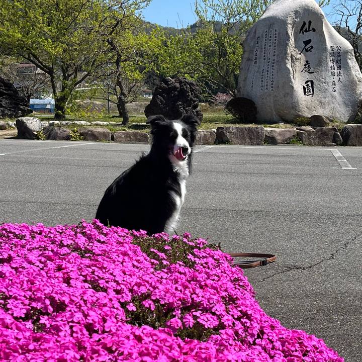 95c7361f 979b 40de bd1b 5ba419a5dc3a 1775624768800