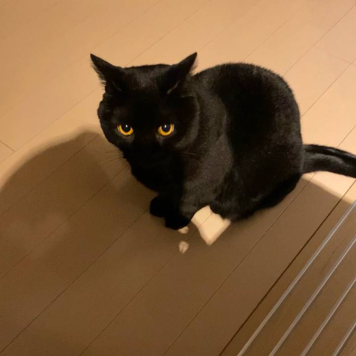 95c73954 b449 4629 bc70 1114e7e95c07 1613475740634