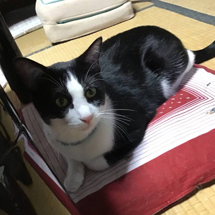 95c73ec6 bc69 4cf9 80c3 ff5768e854c5 1661944882219