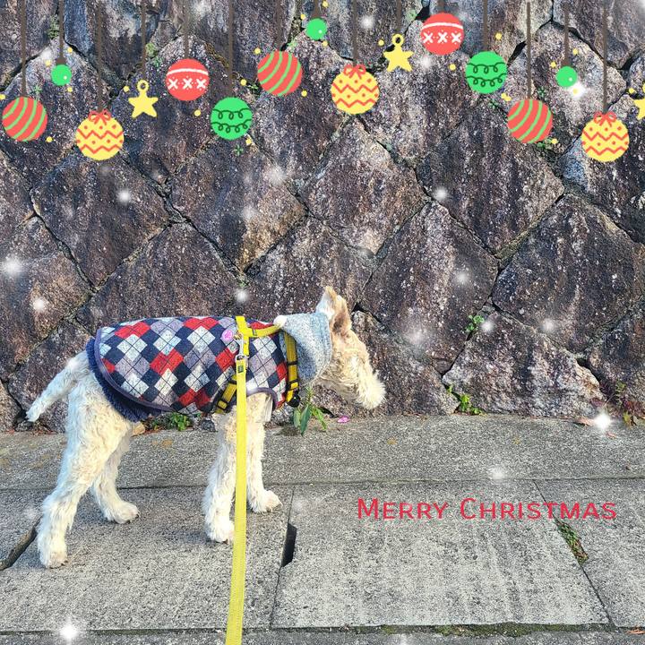 95c75cc8 acaa 4f99 8e7b 64b2de10f876 1703423980768