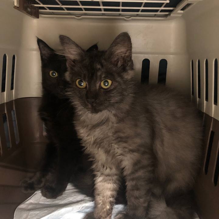 95c76d67 1d0c 4243 a36c 383716b21a17 1629516551137