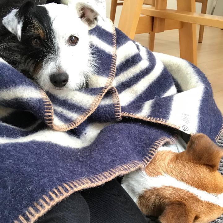 95c7856f e877 4a79 830b 9f32b76c0e1b 1542085196529