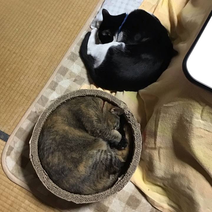 95c7b31c 98a3 4b61 9a11 7bea3d4ef82e 1702969558815