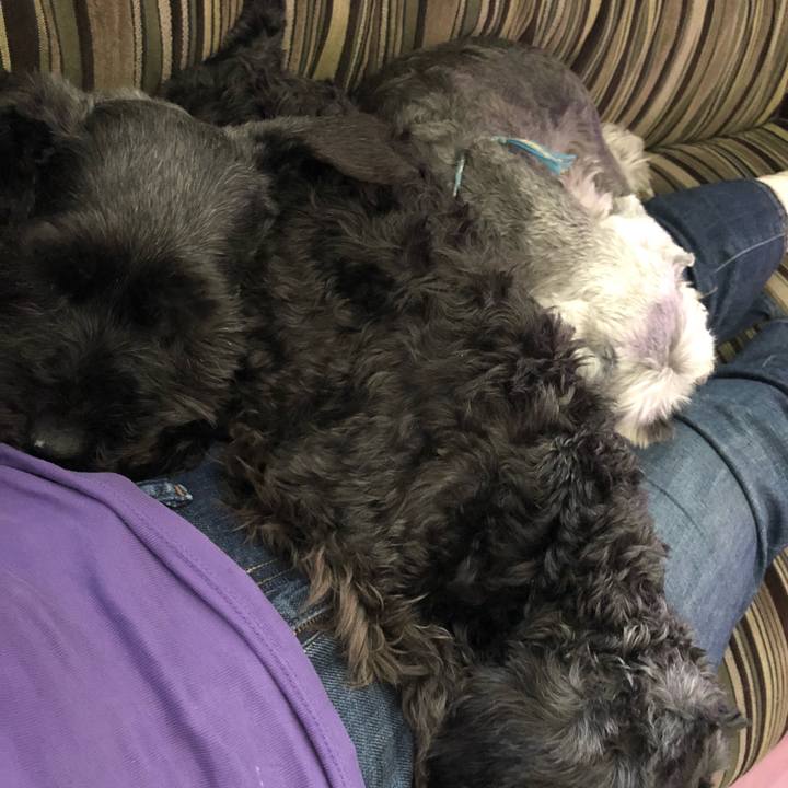 95c7cead 3284 4f32 af71 cdf06aee2938 1526785407473