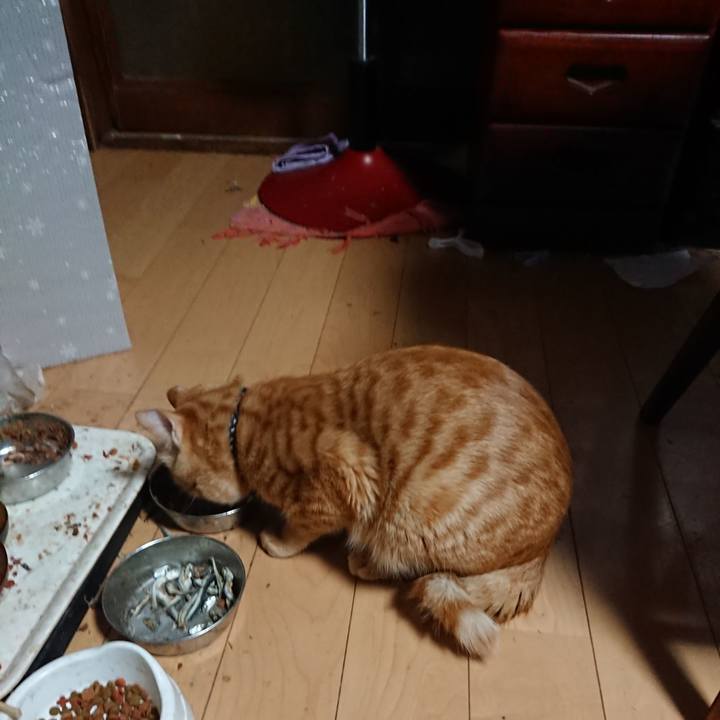 95c80f5f f13a 42ac b231 c5b7de175d0e 1643018626961