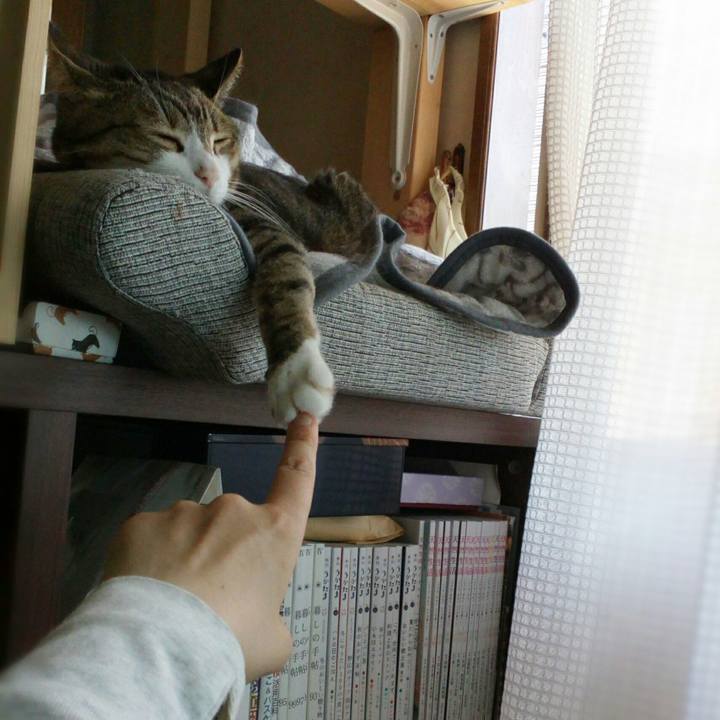 95c8172a 2530 4bf2 b736 0479470175f7 1558837588030