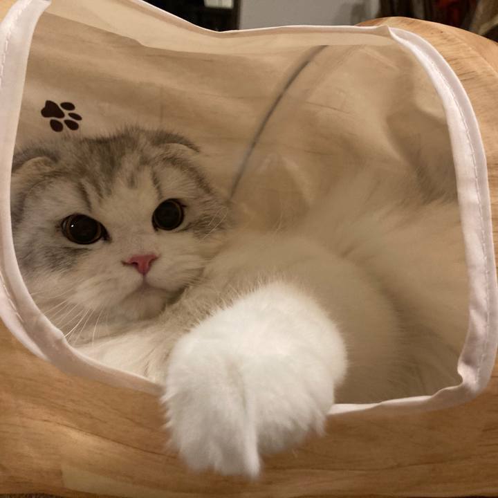 95c81a50 b714 4c7d 8431 b1addabbb37b 1613815811086