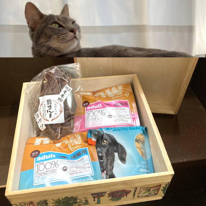 95c8823f 36fd 432f 8700 fcab4ab6bae3 1610789867585