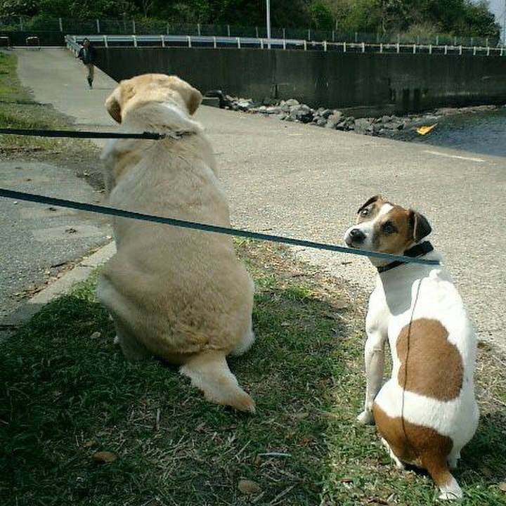 95c8b525 70f2 42c6 a4d0 16aa343e9fe0 1565606371589