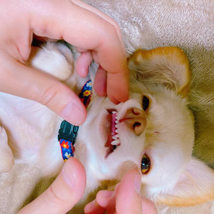 95c8b878 9950 4c2b 8b6c 5162c22e9eef 1637116891302