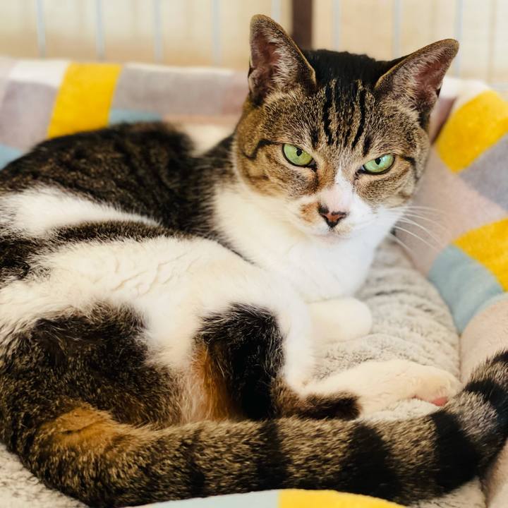 95c8c368 2451 4743 aeda b0c834017f72 1612663601701