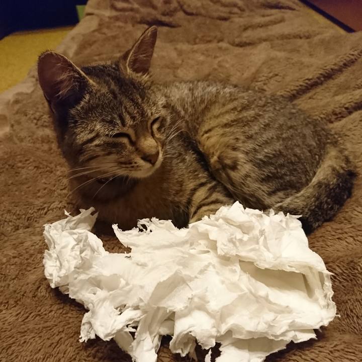 95c8efad 0ef2 4a8a 854f 2b1efd2f1034 1560769597999