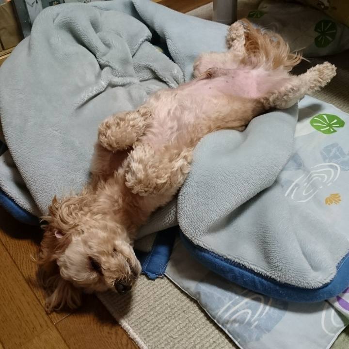 95c8fc0f 929b 44f8 8f61 1aa1fefb2de9 1525519756990