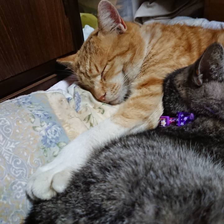 95c8fda6 84e9 4a60 8e16 7bfeba1dfbfd 1583757222088