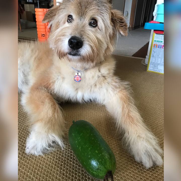 95c8fe24 959d 47b8 91d0 429f4abc7862 1632474347748