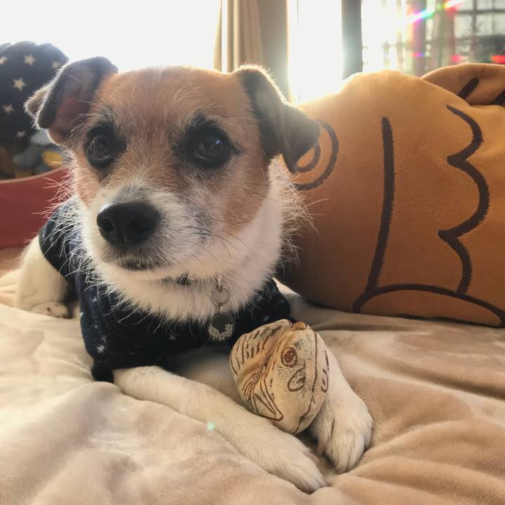 95c90832 227e 413c 92ca 21df42c5ed1b 1516318136077