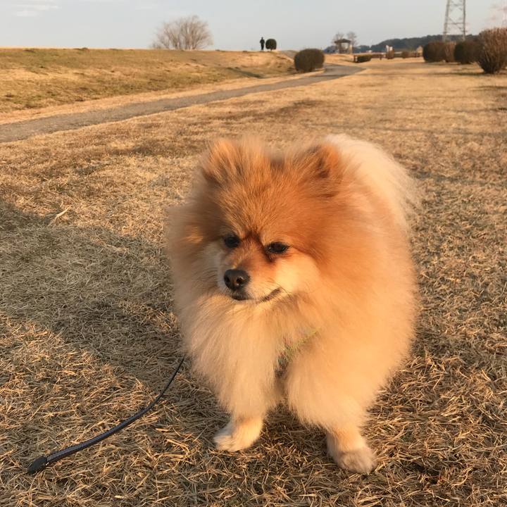 95c93c42 ba16 48a3 8d55 6422a518f9b3 1521643474836