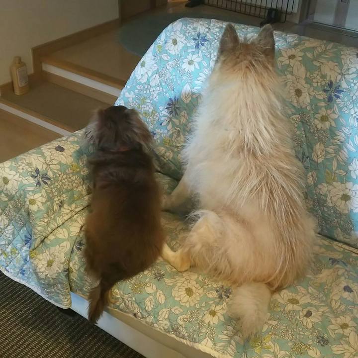 95c96b93 74fc 4e09 bb4d 4814434b41de 1543022206769