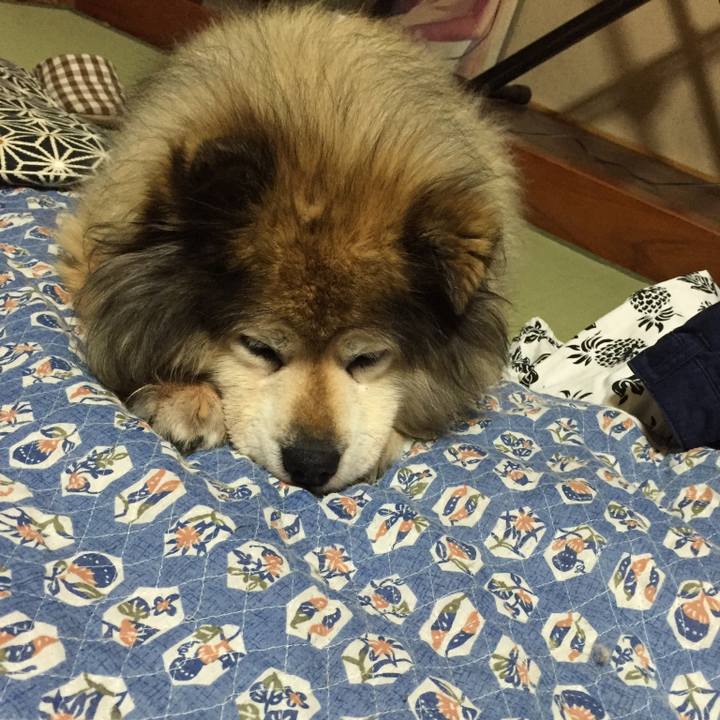 95c97bfd 72ff 42f6 8179 57933d527e8a 1598882121530